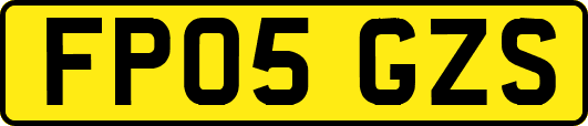 FP05GZS