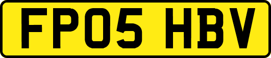 FP05HBV