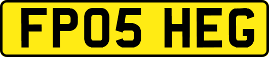 FP05HEG