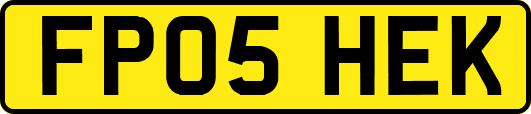 FP05HEK