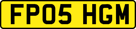 FP05HGM