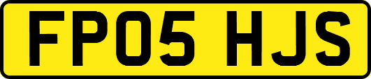 FP05HJS