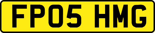 FP05HMG