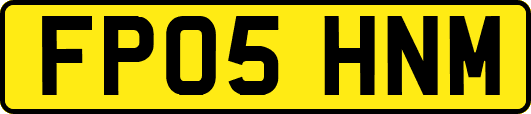 FP05HNM