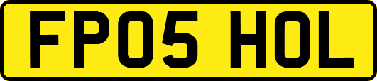FP05HOL