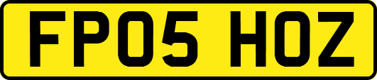 FP05HOZ