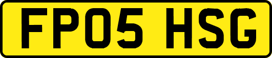 FP05HSG