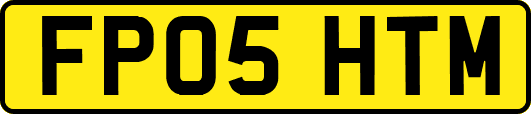 FP05HTM
