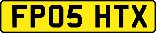FP05HTX