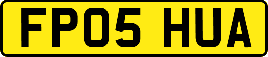 FP05HUA