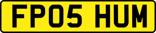 FP05HUM
