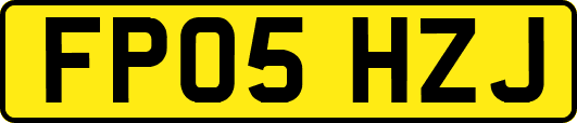 FP05HZJ