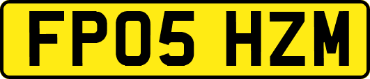 FP05HZM