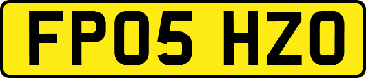 FP05HZO