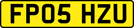 FP05HZU