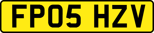 FP05HZV