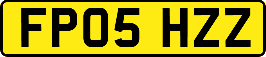 FP05HZZ