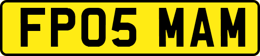 FP05MAM