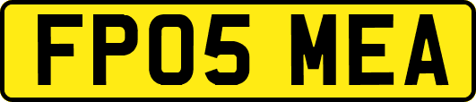 FP05MEA