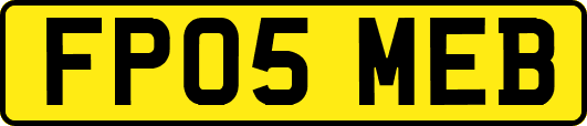 FP05MEB
