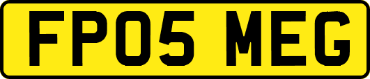 FP05MEG