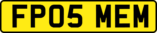 FP05MEM