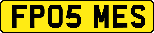 FP05MES
