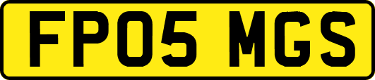 FP05MGS