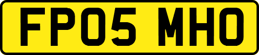 FP05MHO