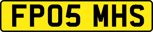 FP05MHS