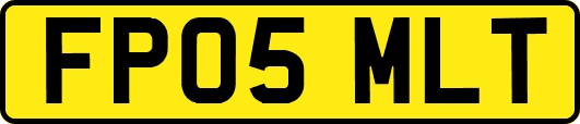FP05MLT