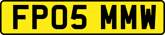 FP05MMW