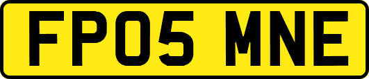 FP05MNE