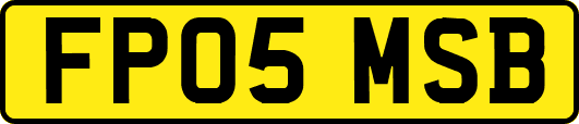 FP05MSB