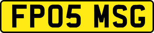 FP05MSG