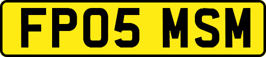 FP05MSM