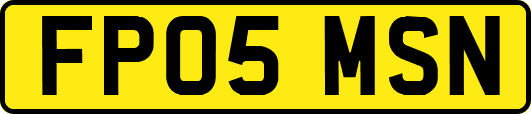 FP05MSN