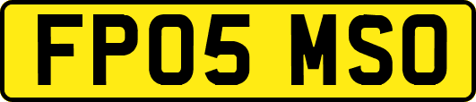 FP05MSO
