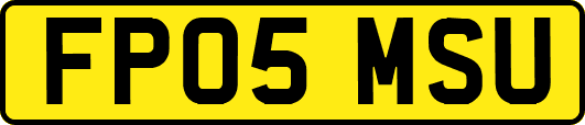 FP05MSU