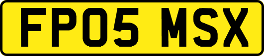 FP05MSX