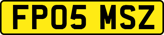 FP05MSZ