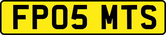FP05MTS