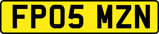 FP05MZN