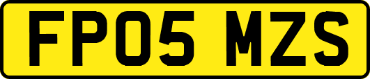 FP05MZS