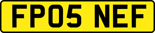 FP05NEF