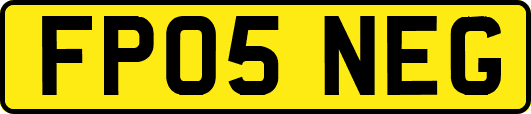 FP05NEG