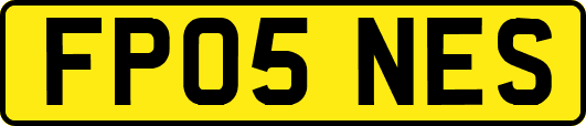 FP05NES