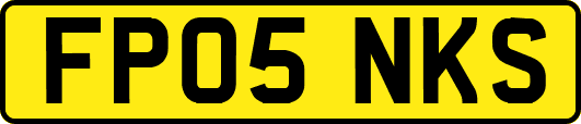 FP05NKS