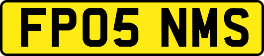 FP05NMS