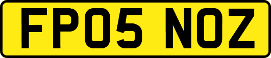 FP05NOZ